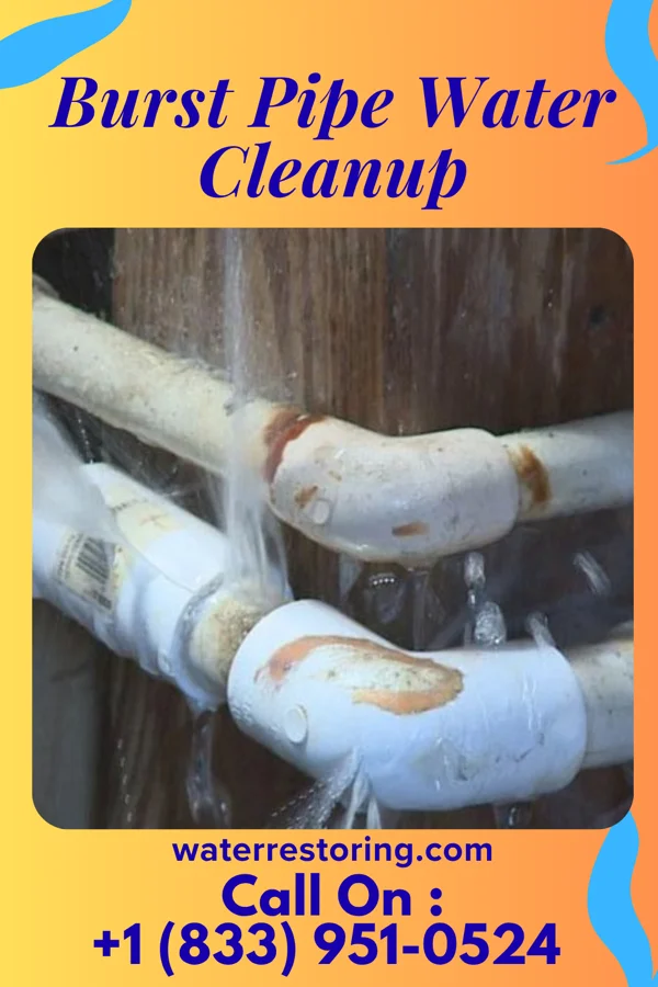Burst Pipe Water Cleanup in Lyons, PA