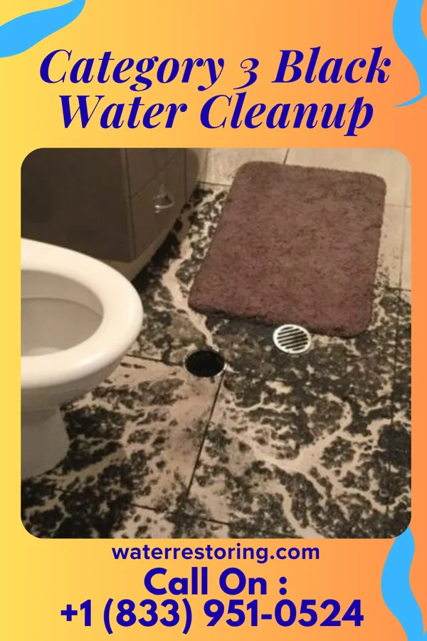 Category 3 Black Water Cleanup in Lyons, PA