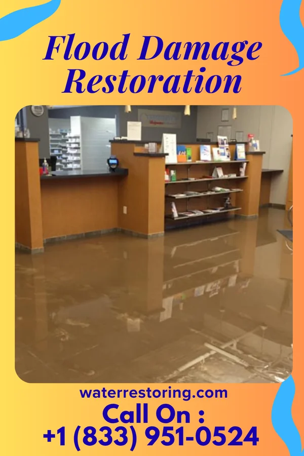 Flood Damage Restoration in Lyons, PA