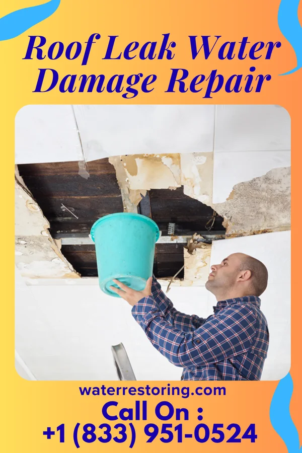 Roof Leak Water Damage Repair in Lyons, PA