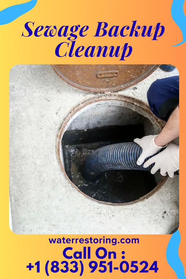 Sewage Backup Cleanup in Lyons, PA