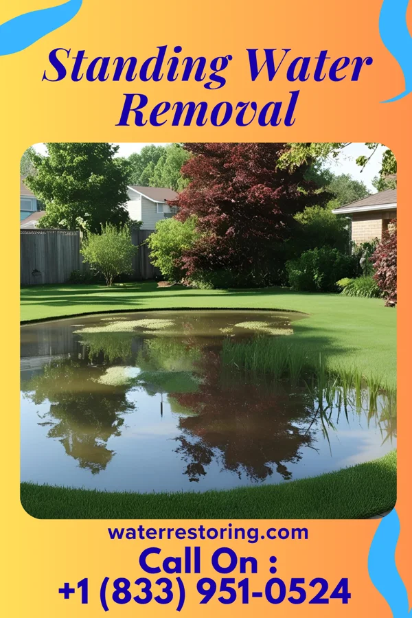 Standing Water Removal in Lyons, PA
